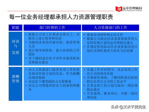 知名咨询公司客户案例 100页人力资源管理的全面提升,系统完整